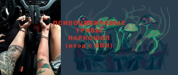 крисы Володарск