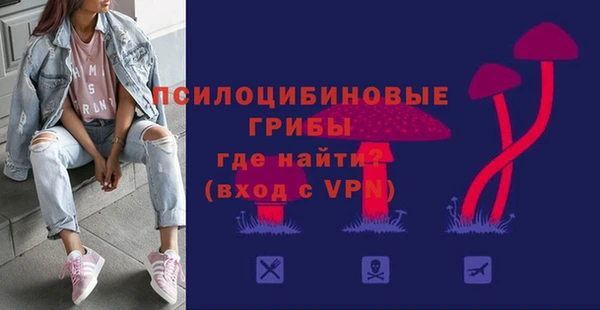 крисы Володарск