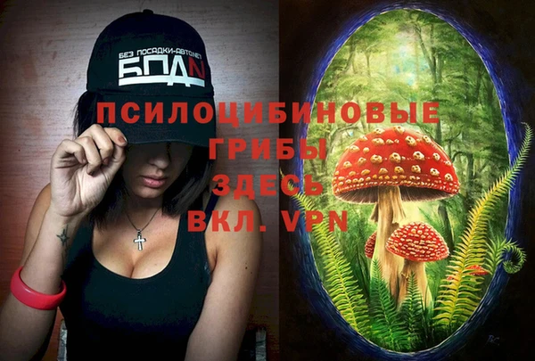 ALPHA-PVP Волоколамск