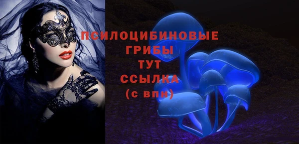 молекула духа Волосово