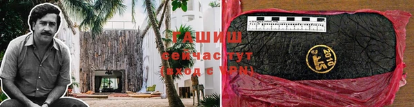 молекула духа Волосово