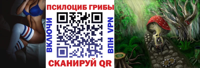 Псилоцибиновые грибы Psilocybe  shop как зайти  Ачинск  OMG маркетплейс 
